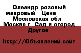 Олеандр розовый махровый › Цена ­ 500 - Московская обл., Москва г. Сад и огород » Другое   